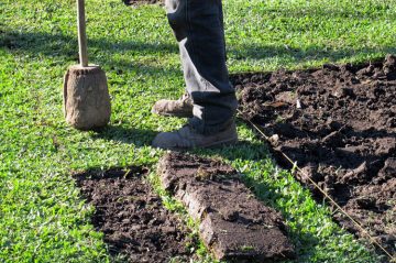 mantenimiento-de-jardines-guadalajara Poda de césped Deshierbe de maleza ajena al césped Rectificación de orillas Rectificación de cajetes Limpieza y aireación de cajetes Limpieza general de áreas verdes Mantenimiento de setos Aireación de césped Mantenimiento de árboles en general Mantenimiento de palmeras Mantenimiento de plantas ornamentales Fungicidas y plaguicidas Fertilizantes para césped Fertilizantes foliares Aplicación de fertilizantes con por aspersión maquinaria profesional Mantenimiento de sistema de riego por aspersión Instalaciones de riego Automatización de riegos Programaciones de controladores por aspersión de riego Personal capacitado y uniformado Instalación de césped Renovación de jardines deteriorados SERVICIOS DE MANTENIMIENTO DE JARDINES