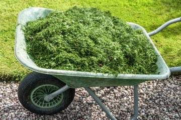 mantenimiento-de-jardines-guadalajara mantenimiento de jardines para Fraccionamientos mantenimiento de jardines para Hoteles mantenimiento de jardines para Industria mantenimiento de jardines para Campos deportivos mantenimiento de jardines para Restaurantes mantenimiento de jardines para Parques