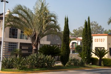jardineria para empresas guadalajara