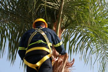 jardineria para empresas guadalajara