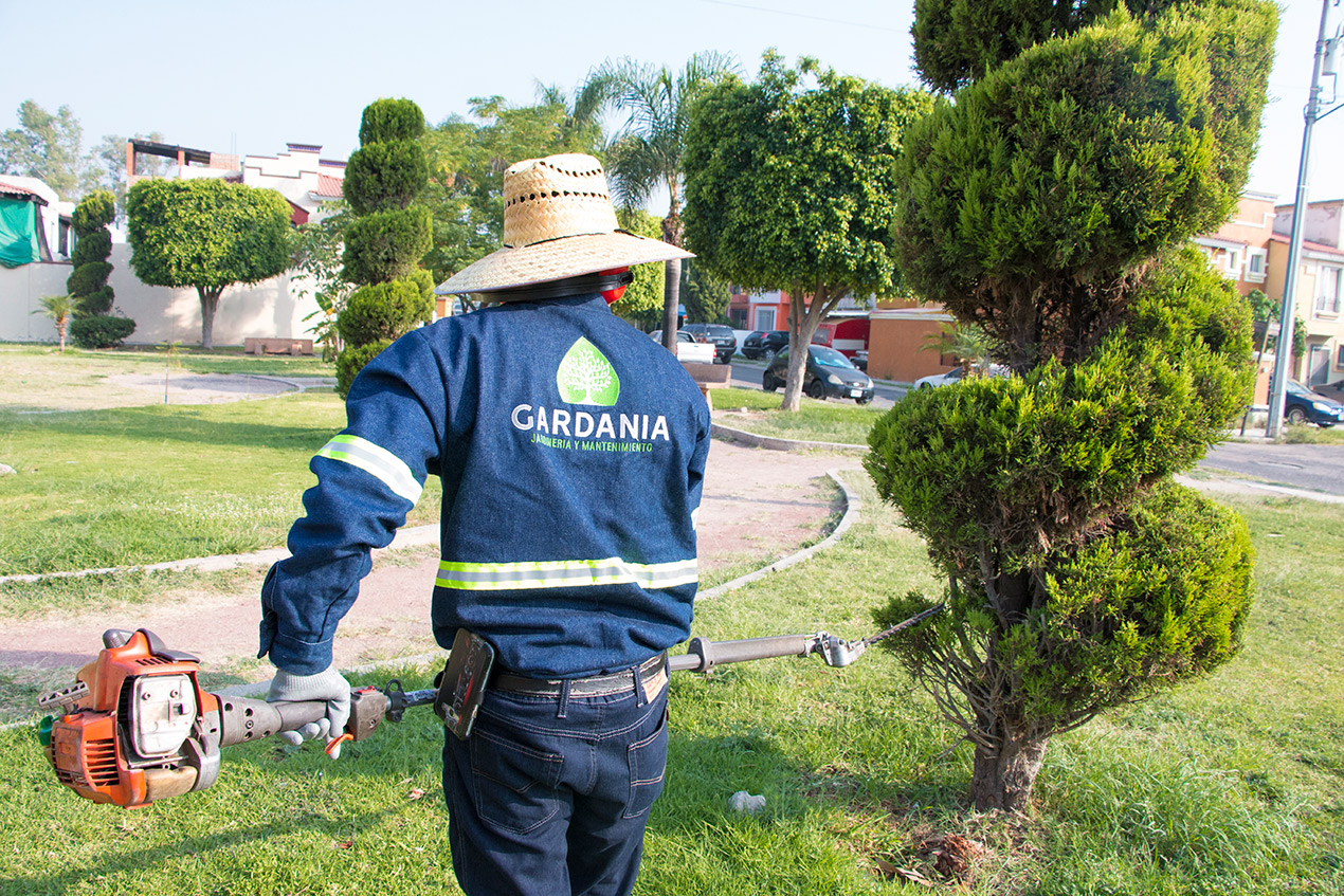 jardineria para empresas guadalajara