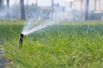 jardineria para empresas guadalajara